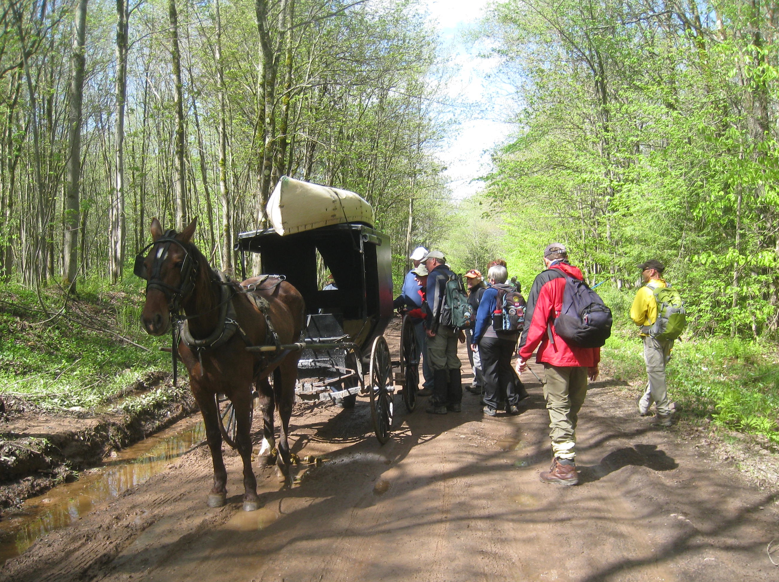 Happy Valley Hike - 1