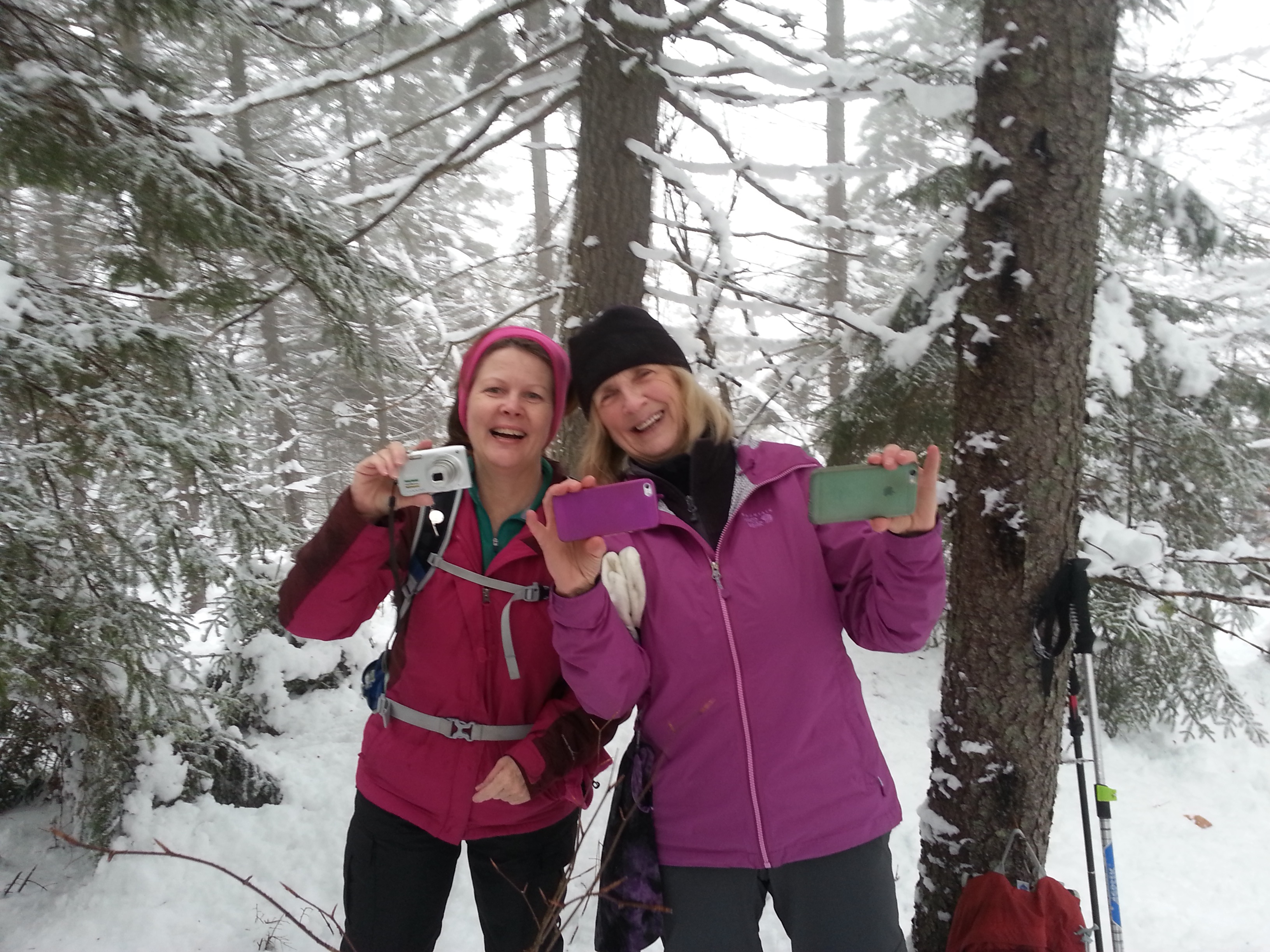 TnT Vista Trail 1/16/16