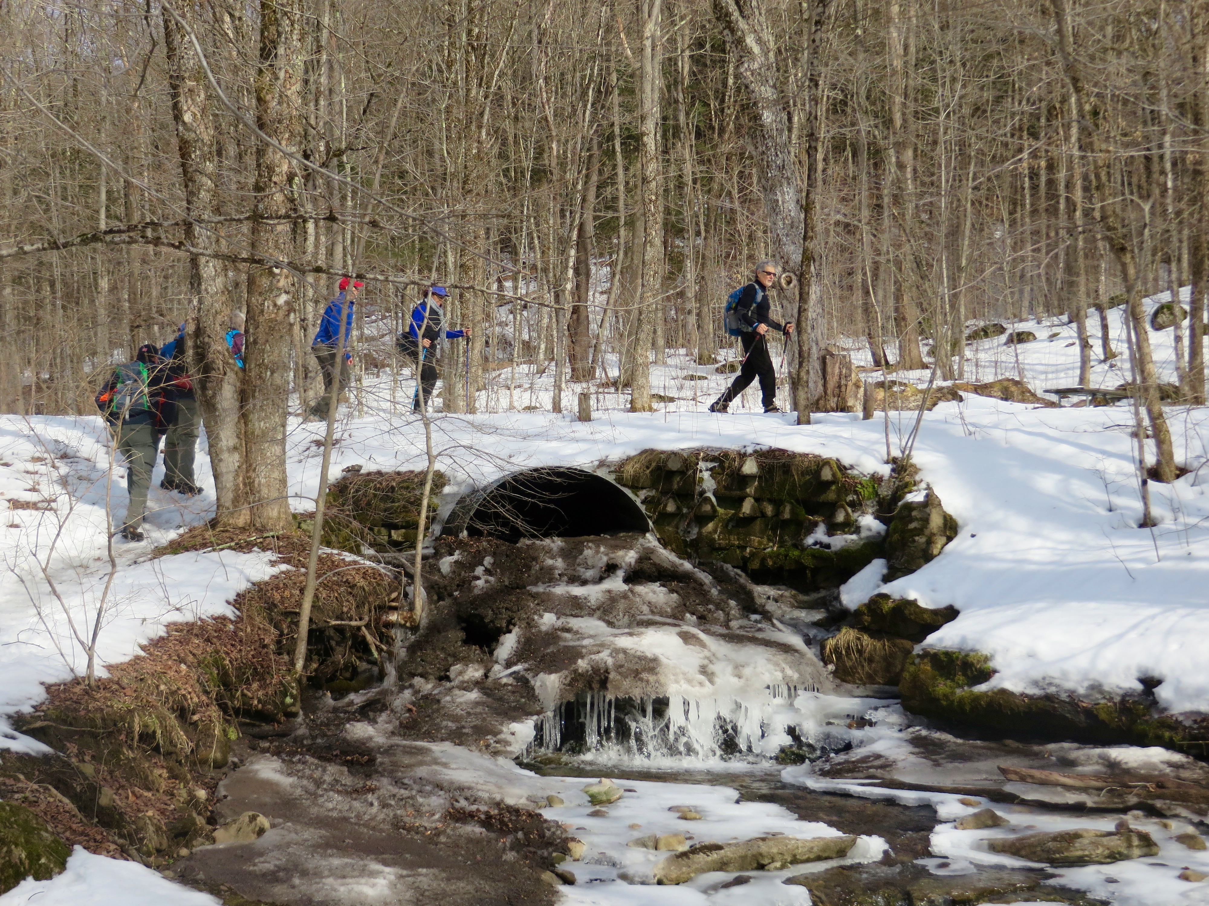 TnT Pixley Falls 2/16