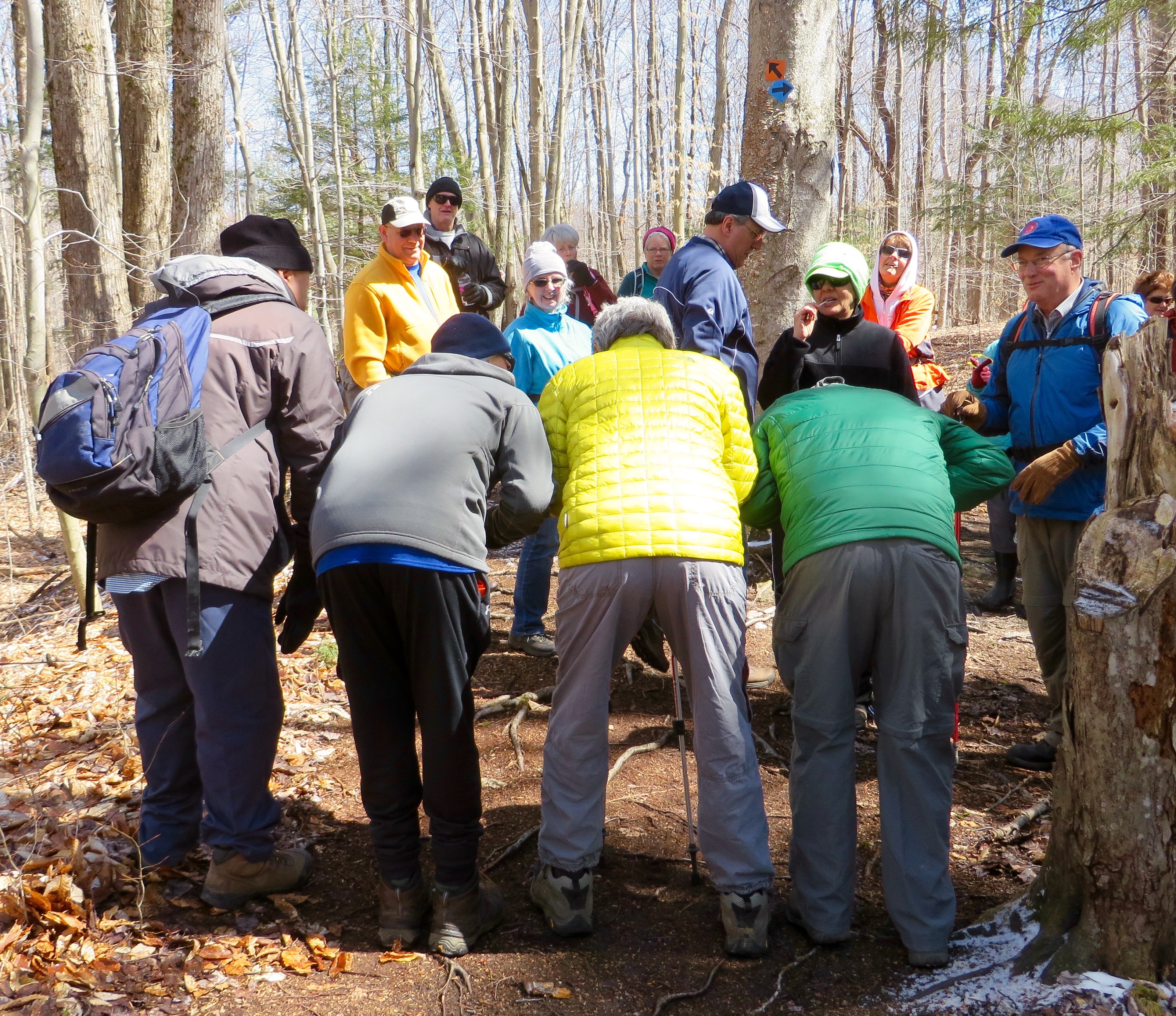 TnT Trenton Greenbelt 4/9/16