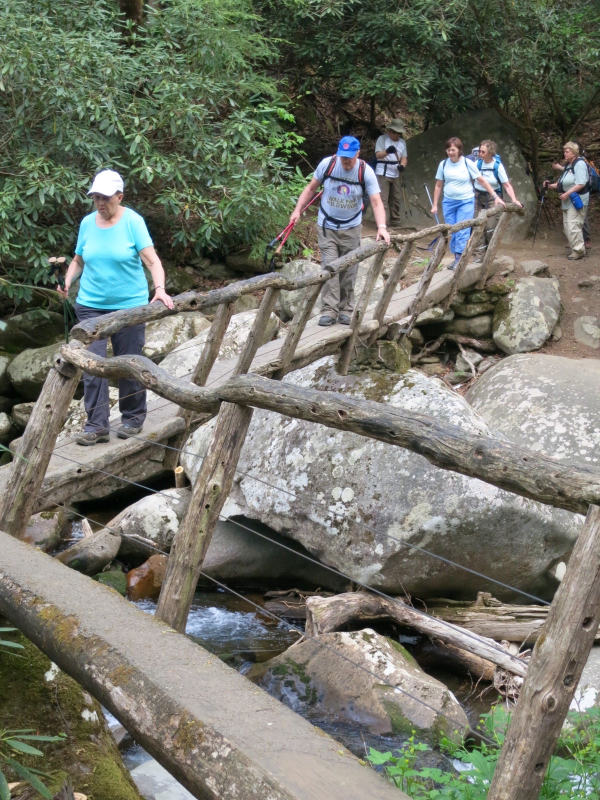 Great Smoky Mtn. Nancy A.