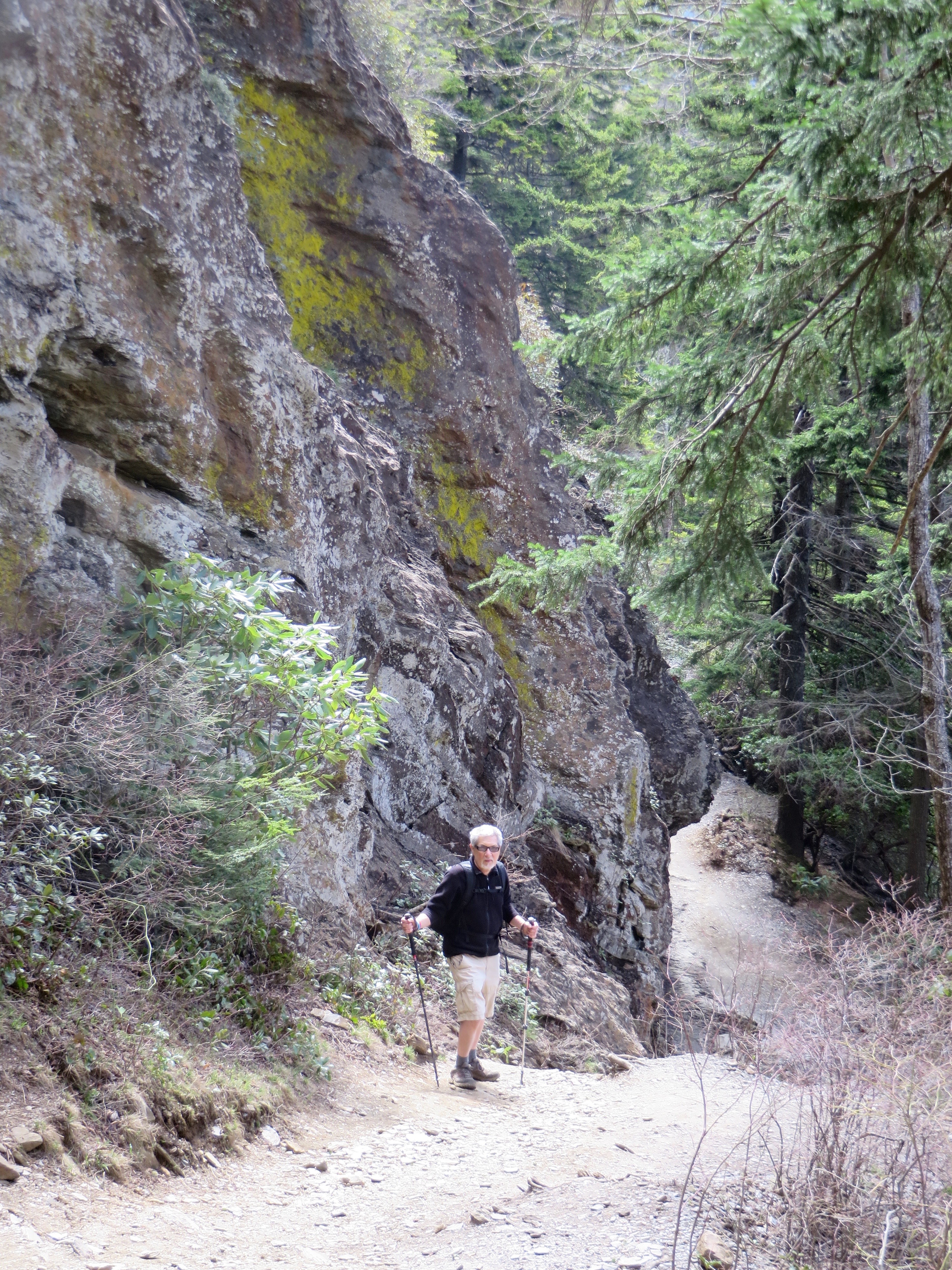 Great Smoky Mountains Alum Cave