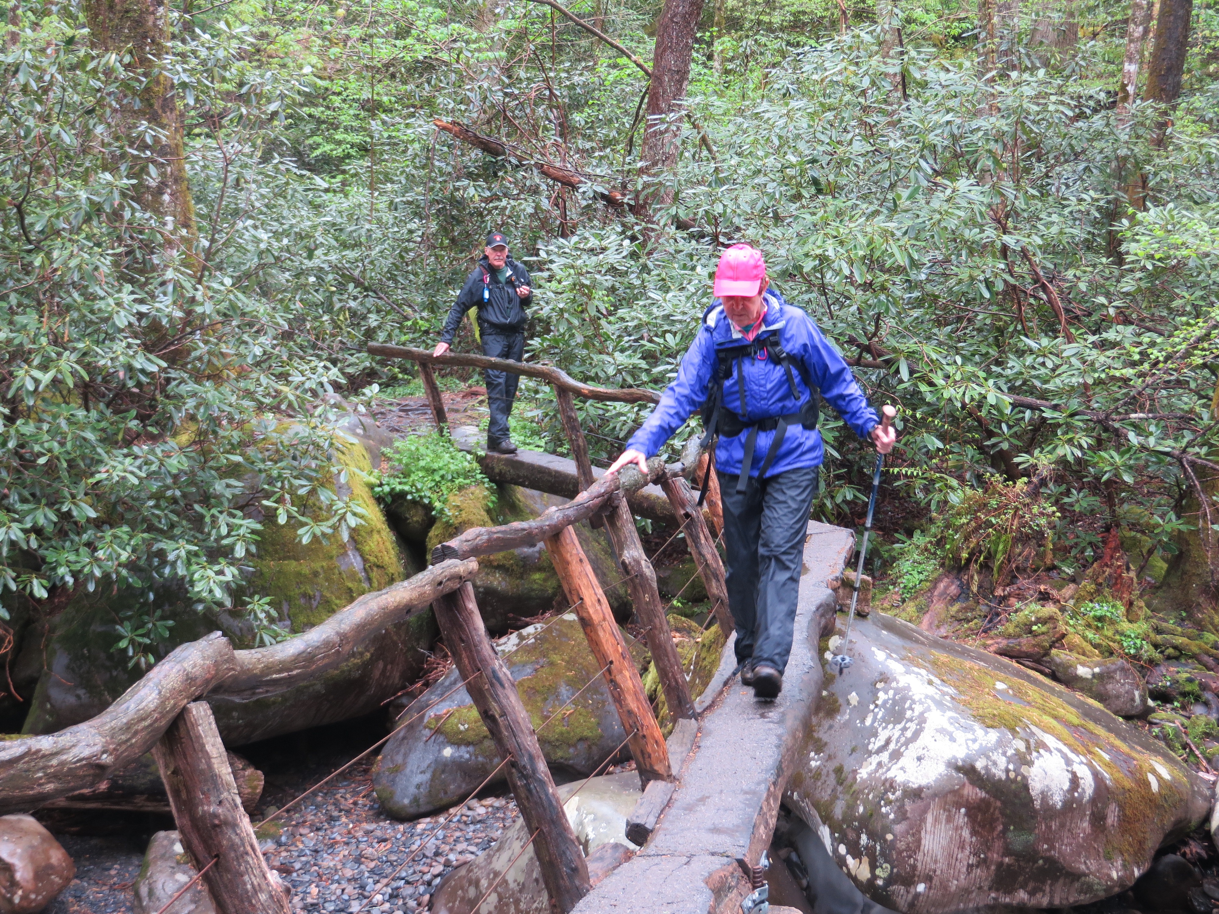 Great Smoky Mountains Porters Creek